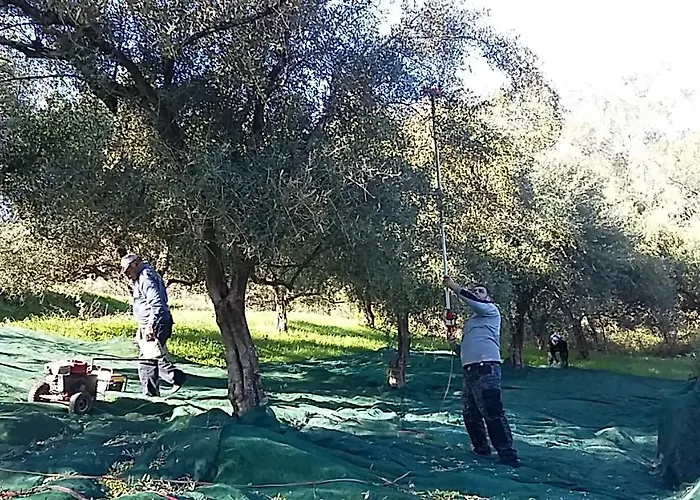 Βίλα Eleas Gi Βιταλάδες