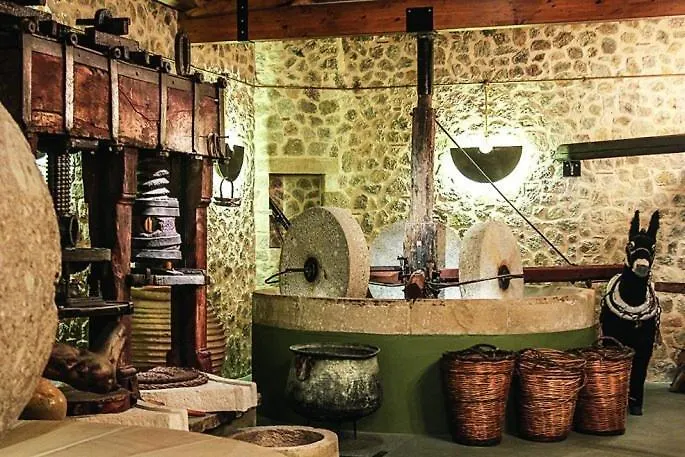 Eleas Gi Vilă *