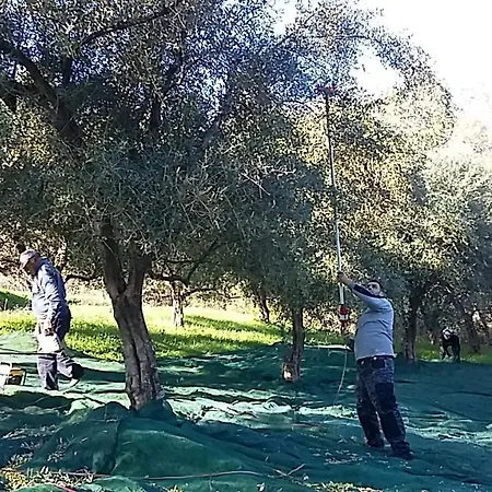 Villa Eleas Gi Vitalades